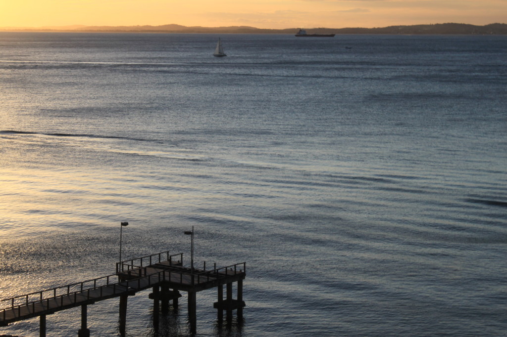 Fotos Marina Ribeiro