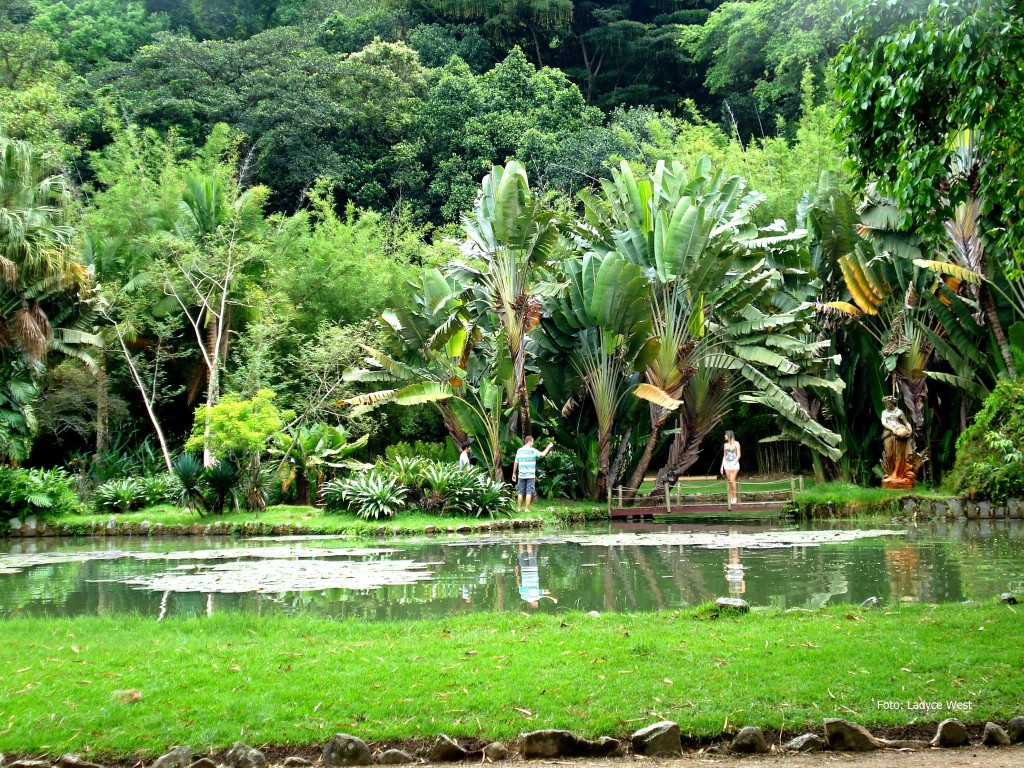 jdbotanico_por_Ladyce West